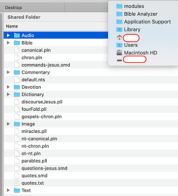 Application Support>Bible Analyzer>modules-sm.jpg